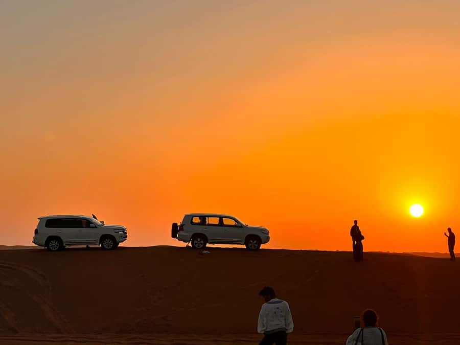 Doha: Nighttime Desert Safari with Dune Bashing & Camel Ride - Who should book this nighttime safari