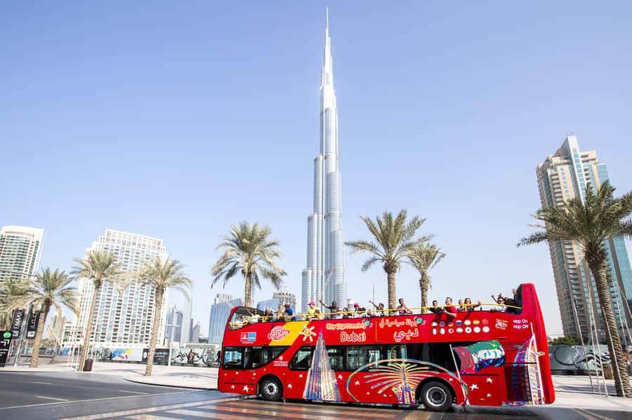 Dubai: City Sightseeing HOHO Bus Tour + Sunset & Night Tour - What the sunset and night ride adds
