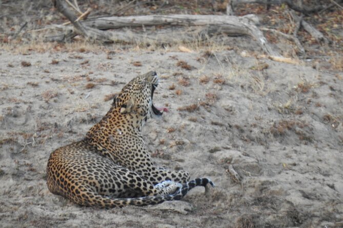 Evening Safari - Yala National Park with Janaka safari - 02.00 pm to 06.30 pm - How the safari unfolds inside Yala