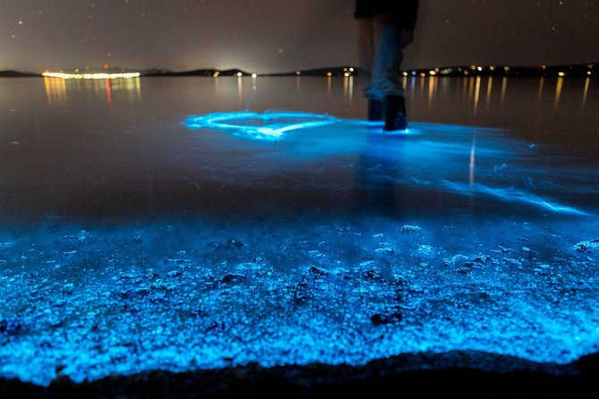 Florida Bioluminescence Kayaking Tour (Titusville) - Key points to know before you paddle