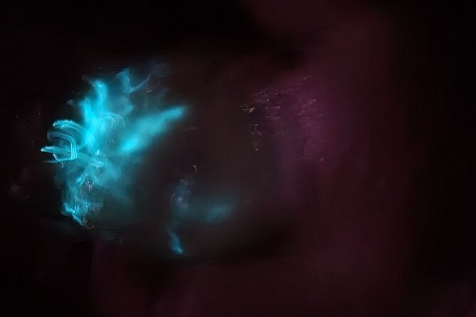 Florida Bioluminescence Kayaking Tour (Titusville) - Watching fish, comb jellies, and other wildlife