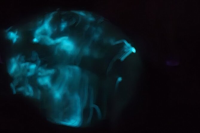 Florida Bioluminescence Kayaking Tour (Titusville) - Stars, moonlight, and the problem with bright nights