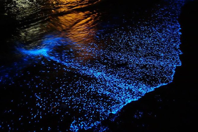 Florida Bioluminescence Kayaking Tour (Titusville) - Arriving at Haulover Canal in Titusville