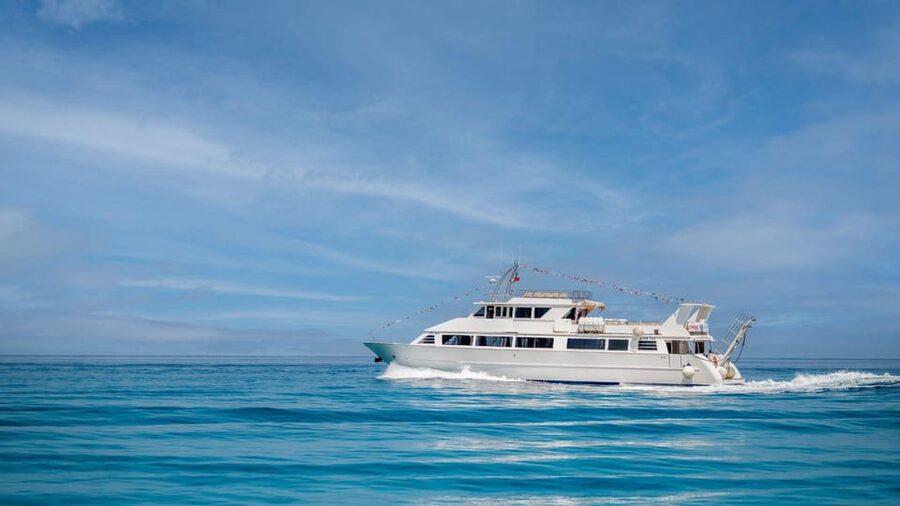 From Tropea: Lipari Panarea Stromboli Night Cruise - A full day from Tropea to the Aeolian Islands