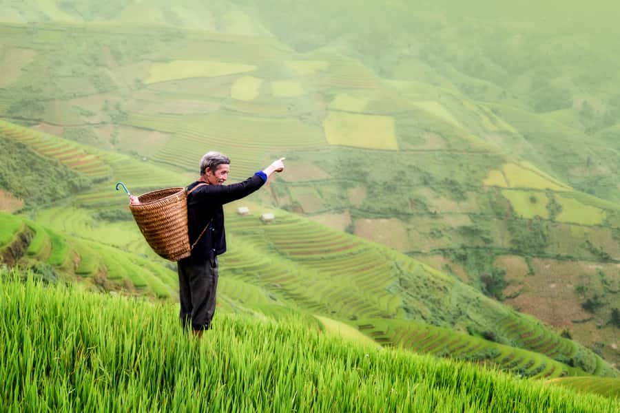 From Ubud: Evening Firefly Tour in Taro Village - Why this four-hour evening feels different