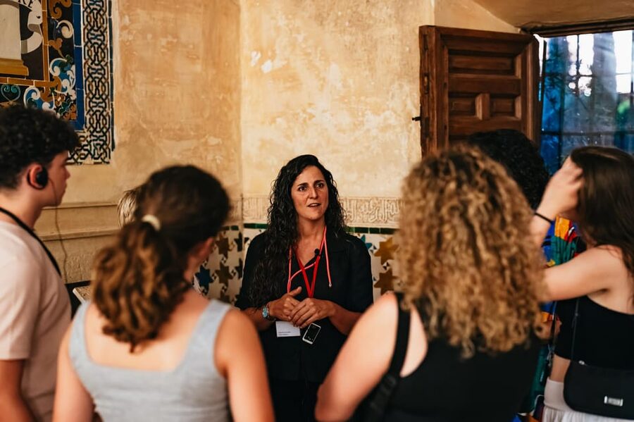 Granada: Alhambra and Nasrid Palaces Guided Tour at Night - Who should book this Alhambra night tour?