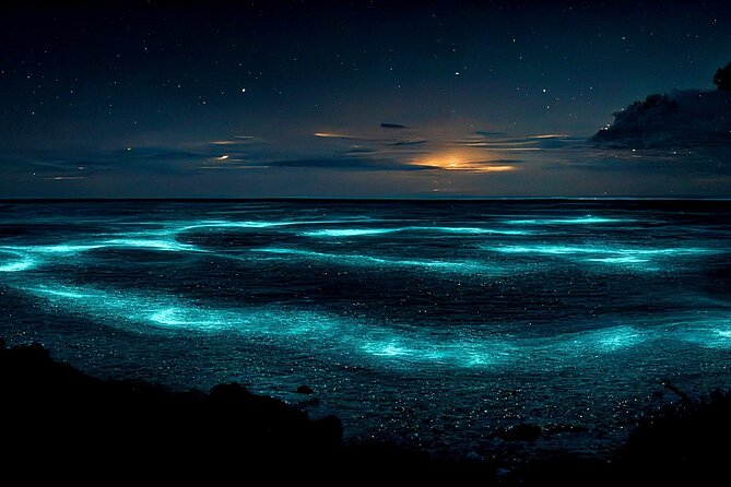 Grand Cayman Bioluminescent Bay Adventure - What the $149 price really covers