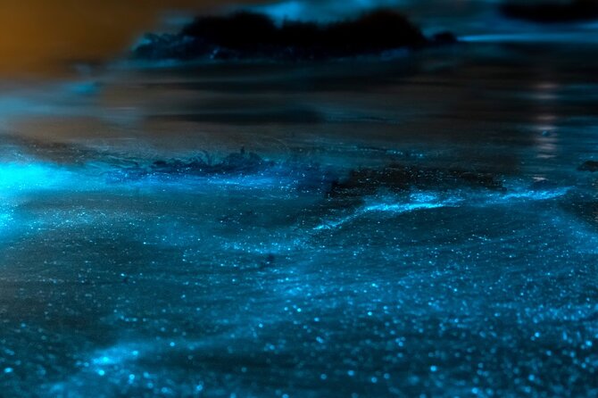 Grand Cayman Bioluminescent Bay Adventure - What the bioluminescent water actually looks like
