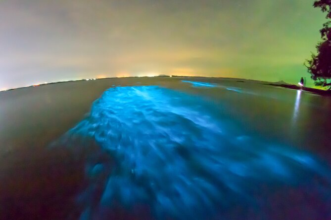 Grand Cayman Bioluminescent Bay Adventure - Swimming, equipment, and comfort