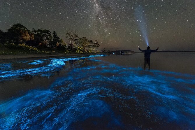 Grand Cayman Bioluminescent Bay Adventure - Guides who make the difference