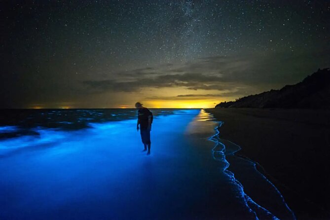 Grand Cayman Bioluminescent Bay Adventure - Timing, weather, and seasonal trade-offs
