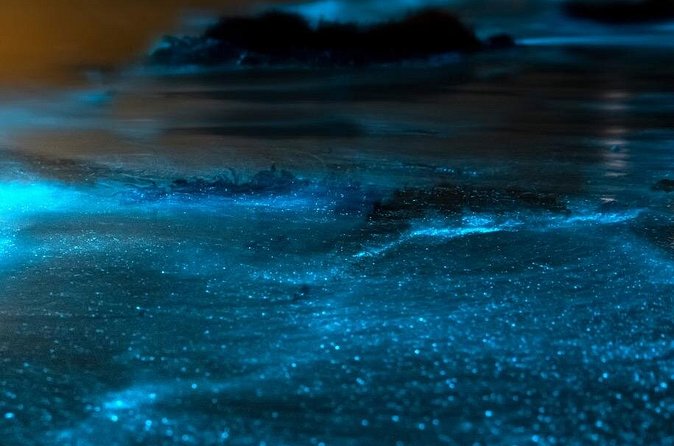 Grand Cayman Bioluminescent Bay Adventure - Who will enjoy this Grand Cayman evening