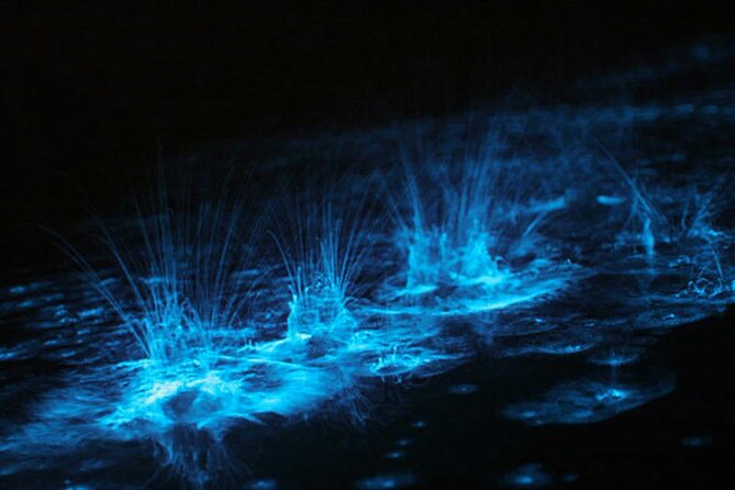 Grand Cayman Bioluminescent Bay Adventure - Entering Cayman Kai after dark
