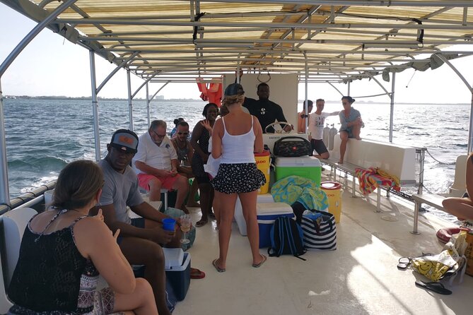 Grand Cayman - Bioluminescent Bay Tour - Key points to know before you go