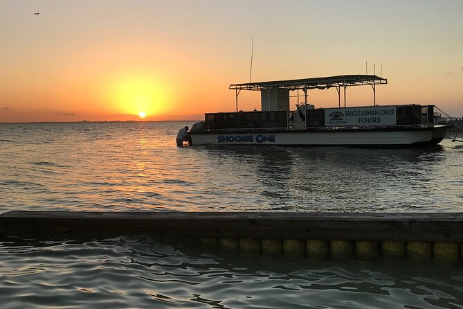 Grand Cayman - Bioluminescent Bay Tour - Moon phase, clouds, and what you can really expect