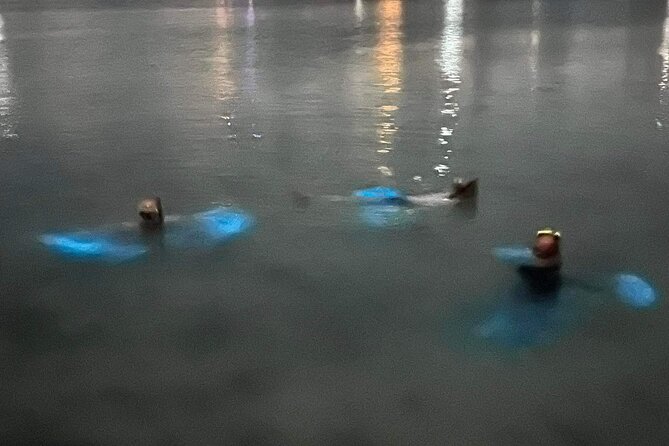 Grand Cayman - Bioluminescent Bay Tour - The crew and the small-group feel