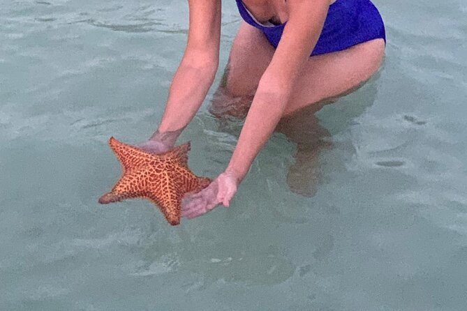 Grand Cayman - Bioluminescent Bay Tour - Why the bioluminescent bay is the main event