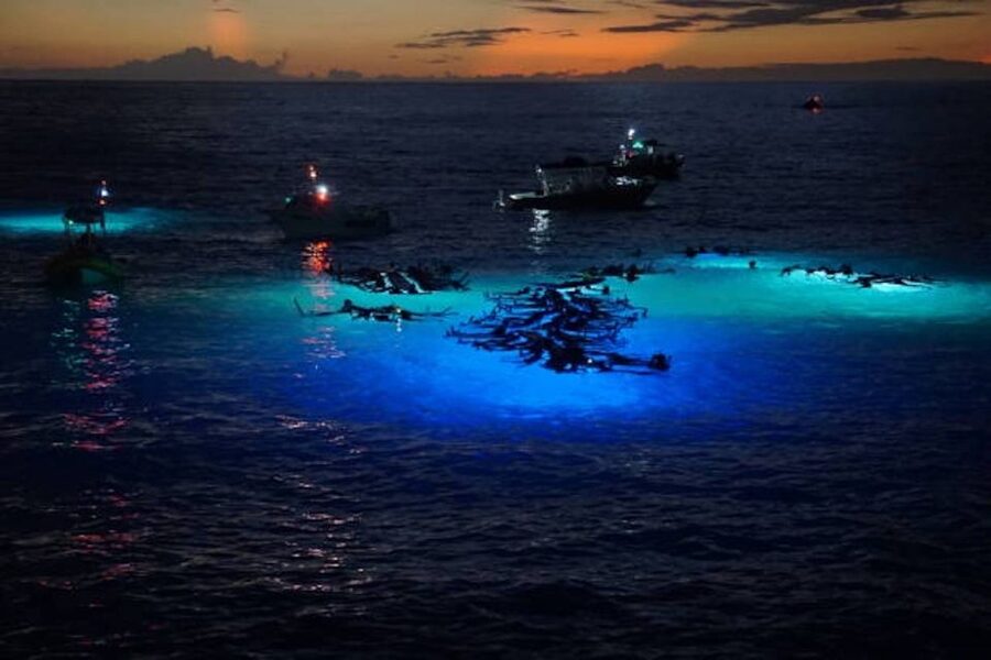 Kailua-Kona: Manta Ray Watching Nighttime Boat Trip - Two ways to experience the manta rays