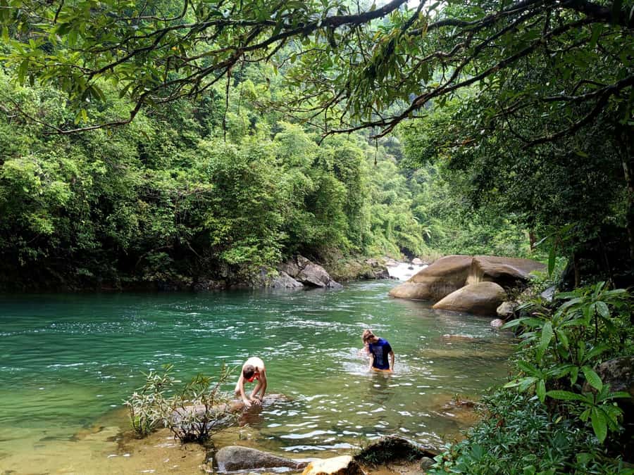 Khao Sok: Private Day Trekking, Jungle Dinner & Night Safari - The two-hour daytime trek through Khao Sok