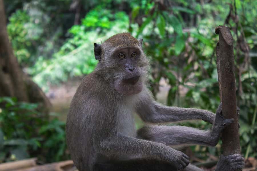 Khao Sok: Private Day Trekking, Jungle Dinner & Night Safari - The waterfall swim and an hour to cool down
