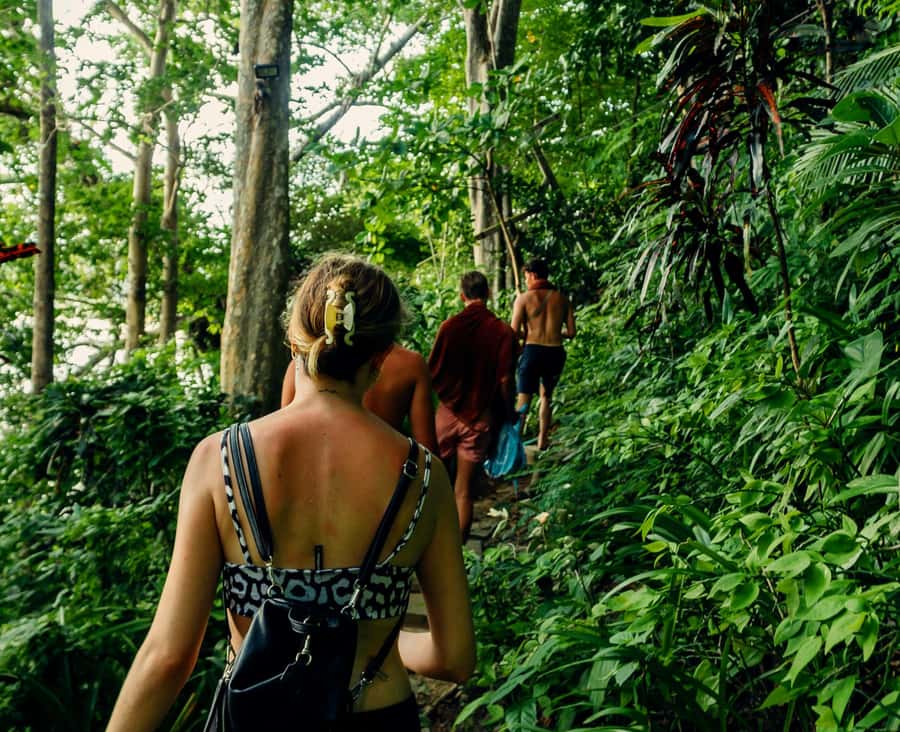 Khao Sok: Private Day Trekking, Jungle Dinner & Night Safari - Bamboo dinner over an open fire