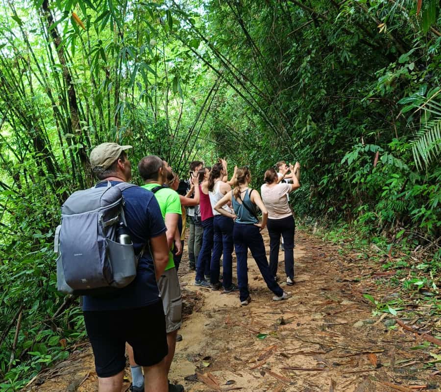 Khao Sok: Private Day Trekking, Jungle Dinner & Night Safari - What the guides add to the outing