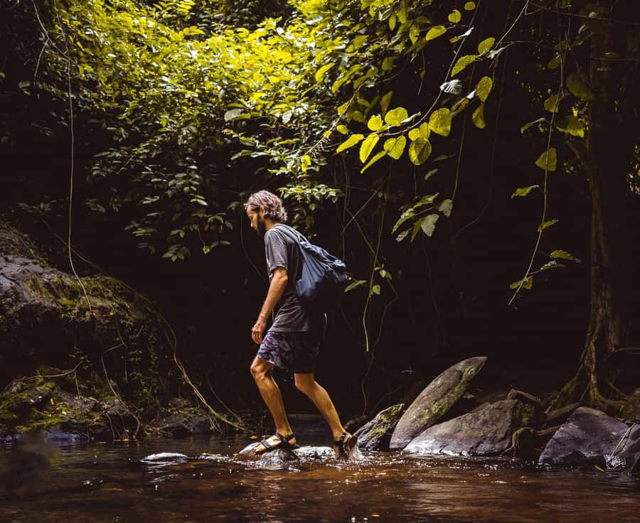 Khao Sok: Private Day Trekking, Jungle Dinner & Night Safari - Price, group size, and overall value