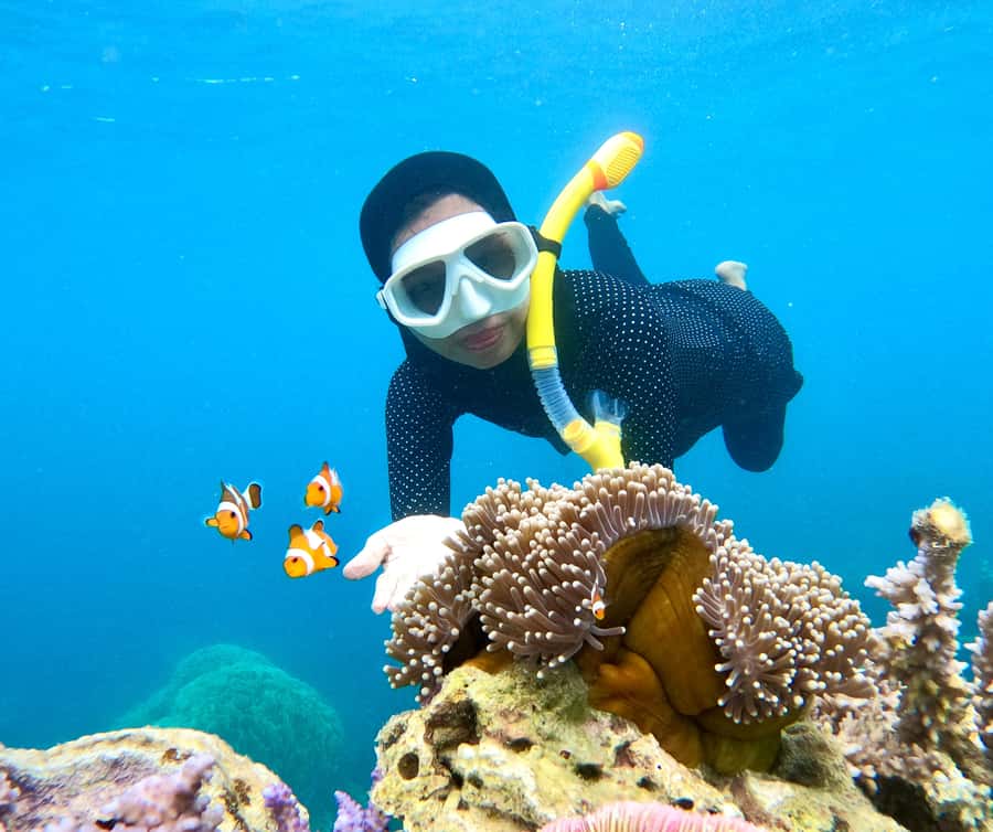 Krabi: Bioluminescent Plankton, Snorkeling & Sunset Tour - Chicken Island is the main snorkeling stop