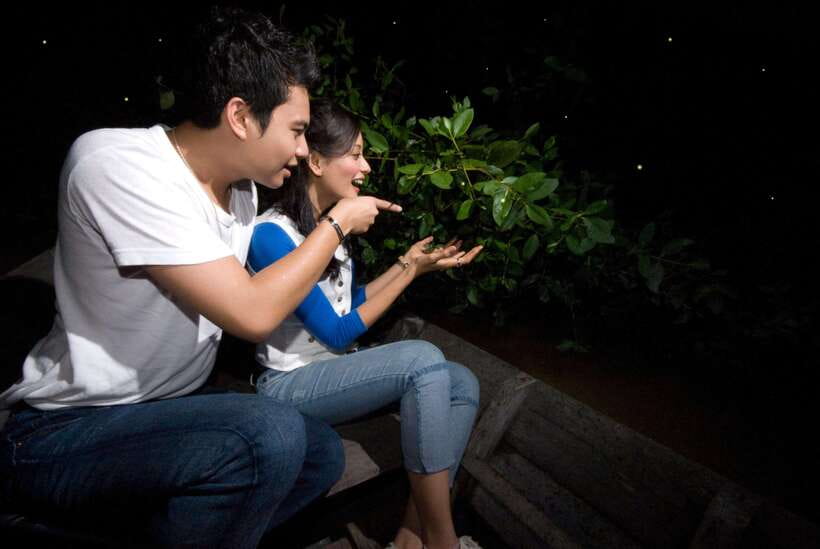Kuala Lumpur: Fireflies & Blue Tears Tour with Seafood Meal - Who should book this Kuala Selangor tour?