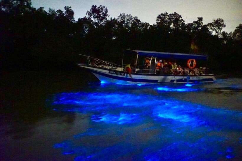 Kuala Lumpur: Kuala Selangor Fireflies and Blue Tears Tour - Should you book the Kuala Selangor Fireflies and Blue Tears Tour?