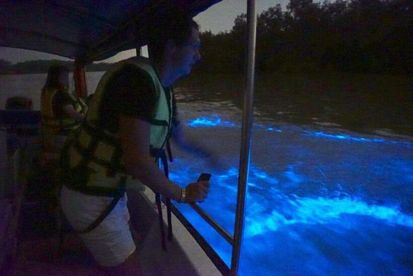Kuala Lumpur: Kuala Selangor Fireflies and Blue Tears Tour - Searching for Blue Tears in the dark water