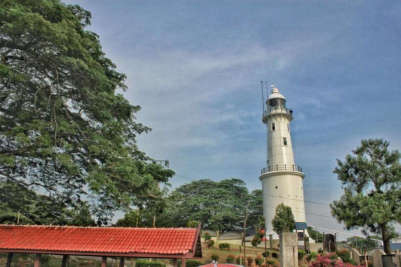 Kuala Lumpur: Kuala Selangor Fireflies and Blue Tears Tour - What the price includes at $79
