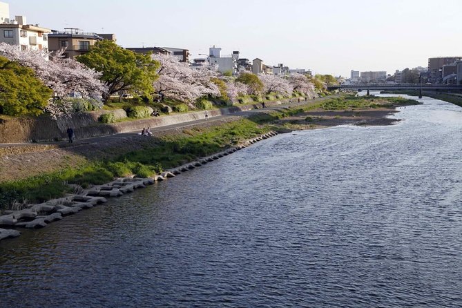 Kyoto Bar Hopping Night Tour - Three hours through Pontocho after dark