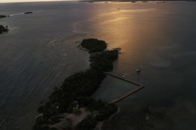 La Parguera Glowing Bioluminescent Bay Boat Tour from San Juan - What the glowing bay actually looks like