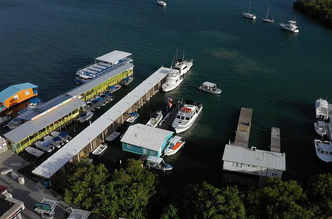 La Parguera Glowing Bioluminescent Bay Boat Tour from San Juan - Guide service and group size
