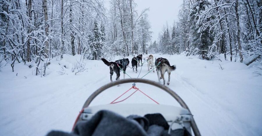 Levi Polar Lights Tours: Arctic Circle Guided Husky Tour - Key points at a glance