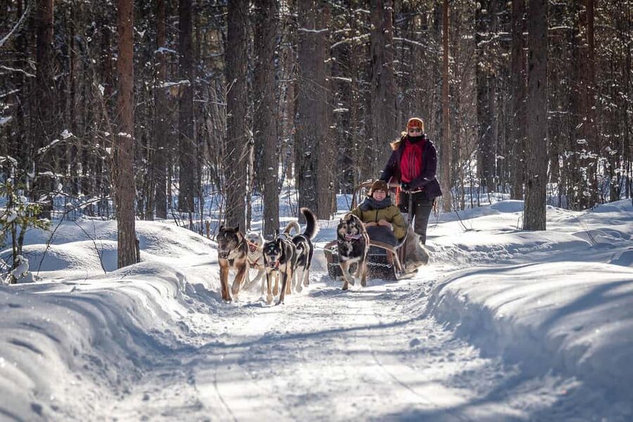 Levi Polar Lights Tours: Reindeer and Husky Taster - What happens during the 90-minute outing