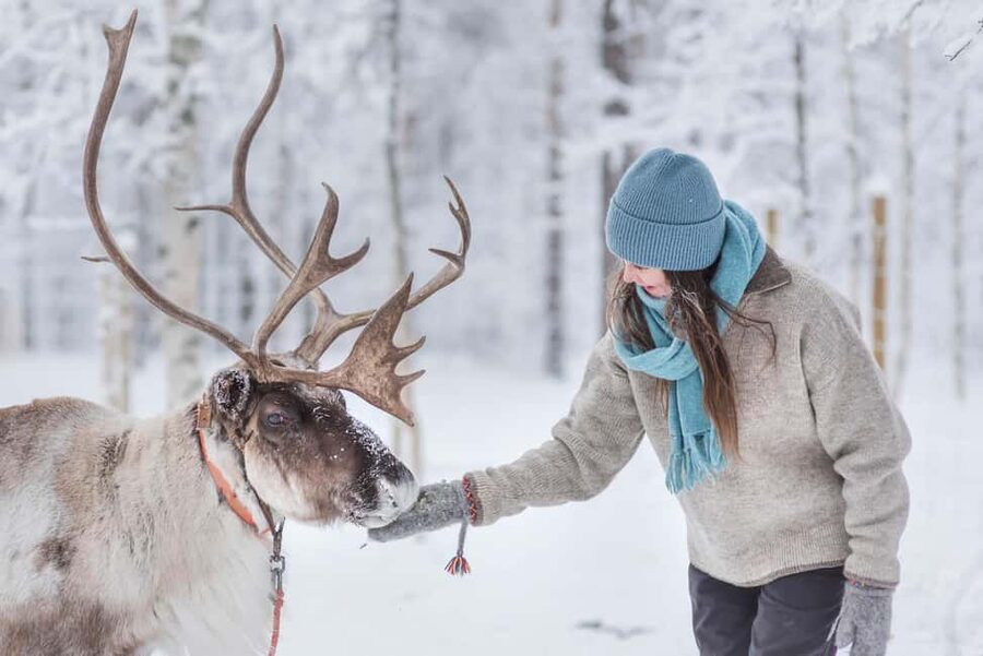 Levi Polar Lights Tours: Reindeer and Husky Taster - Guides, dogs, reindeer, and the human side