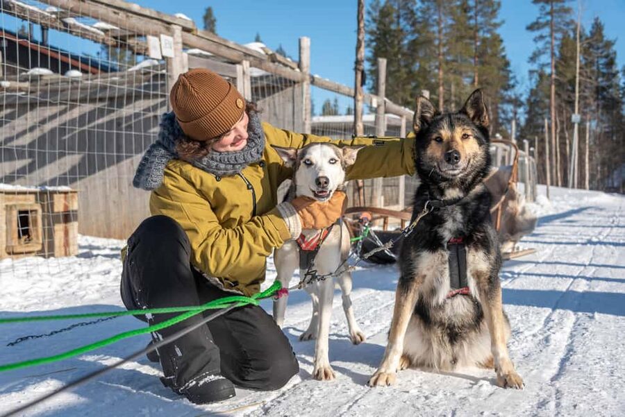 Levi Polar Lights Tours: Reindeer and Husky Taster - Who will enjoy this tour most?