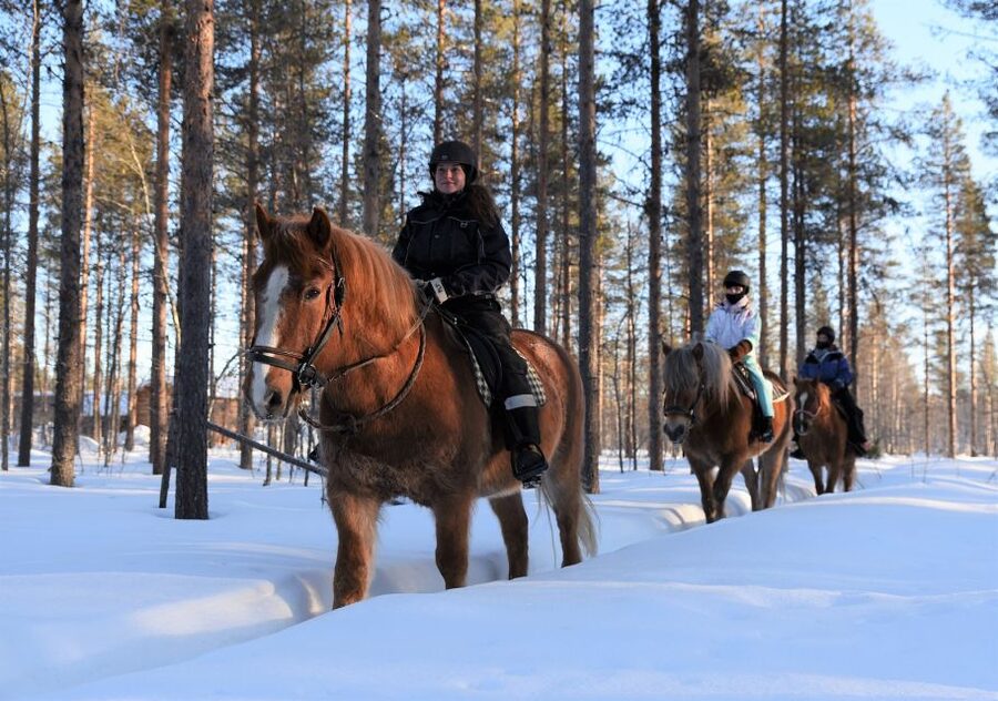 Levi: Snowy Forest Ride and Polar Lights Tours - Key points to know before you book