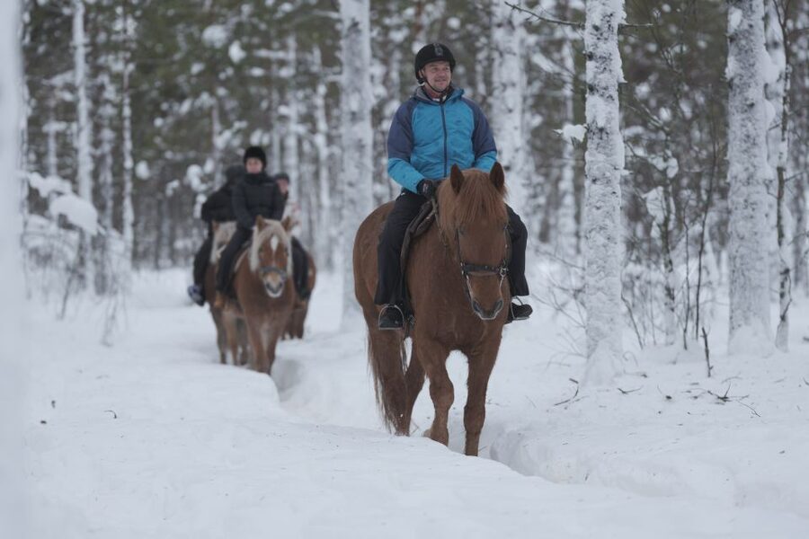 Levi: Snowy Forest Ride and Polar Lights Tours - A gentle ride through Levi’s snowy forest