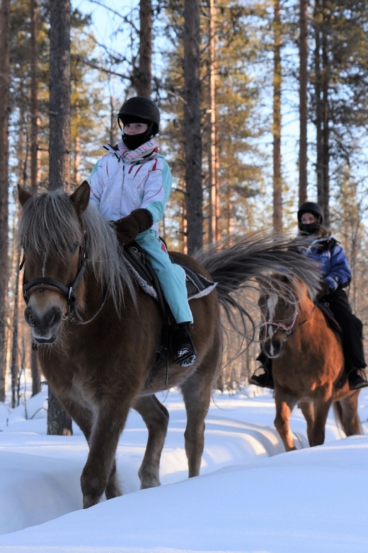 Levi: Snowy Forest Ride and Polar Lights Tours - Why the guides make a difference