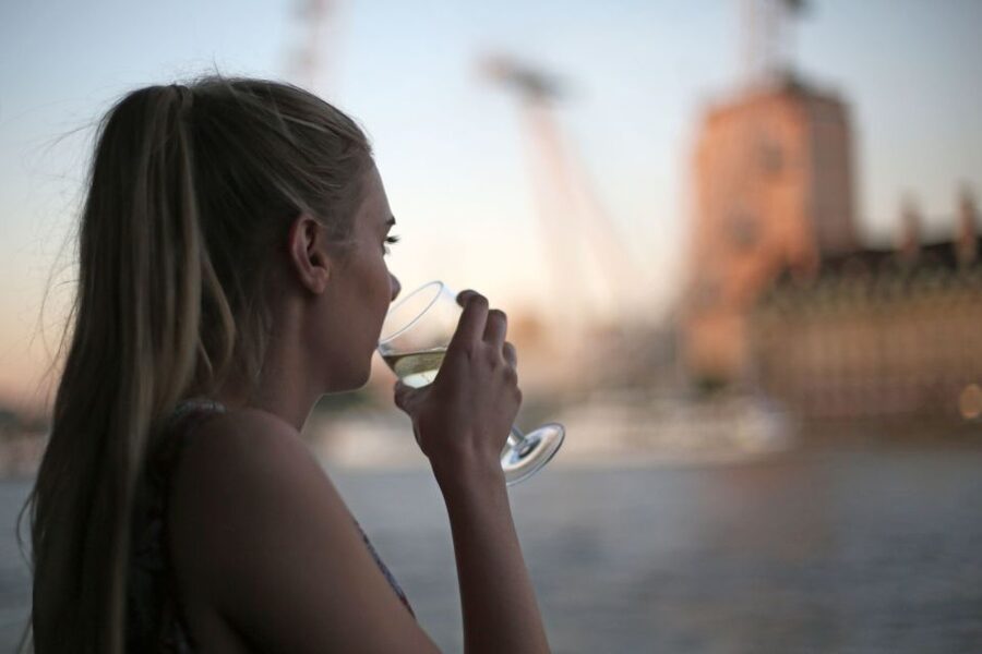 London: River Thames Evening Cruise with Bubbly and Canapés - Canapés, bubbly, and the cash bar