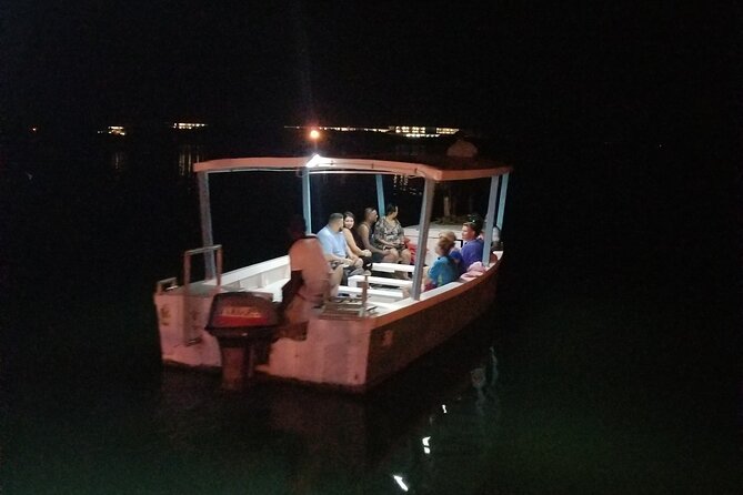 Luminous Lagoon Night Tour from Montego Bay - Swimming through blue sparks