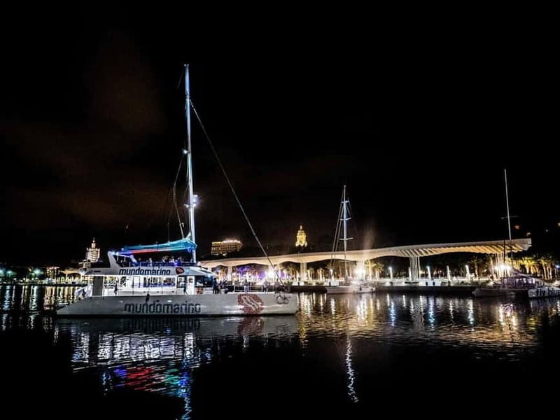 Malaga: Catamaran Sunset or Night Cruise w/ Live DJ & Drink - Who should book this experience