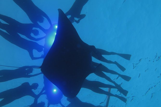 Manta Magic: Small-Group Manta Ray Night Snorkel in Kailua Kona - Weather, cancellations, and timing your booking