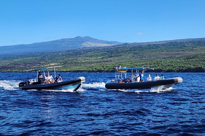 Manta Ray Night Snorkel at Kona, Big Island - The real value of the $44 price