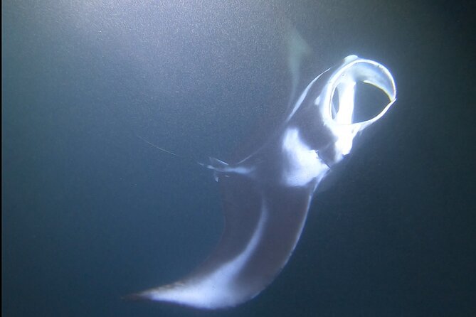 Manta Ray Night Snorkel at Kona, Big Island - The short ride to Keauhou Bay