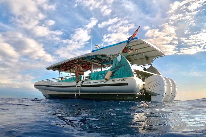Manta Ray Night Snorkel from Kona — Small Group - Who should choose this tour