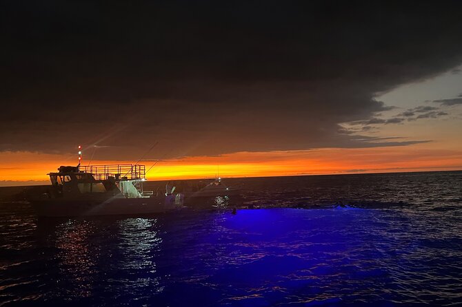Manta Ray Night Snorkel in Kona - The light board is the heart of the experience